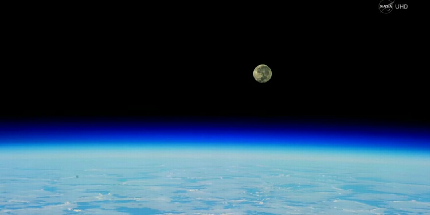 mark holloway🐞🦗🐝🦠🦊🕸🕷🐛🦉🌿🔭👀 banner