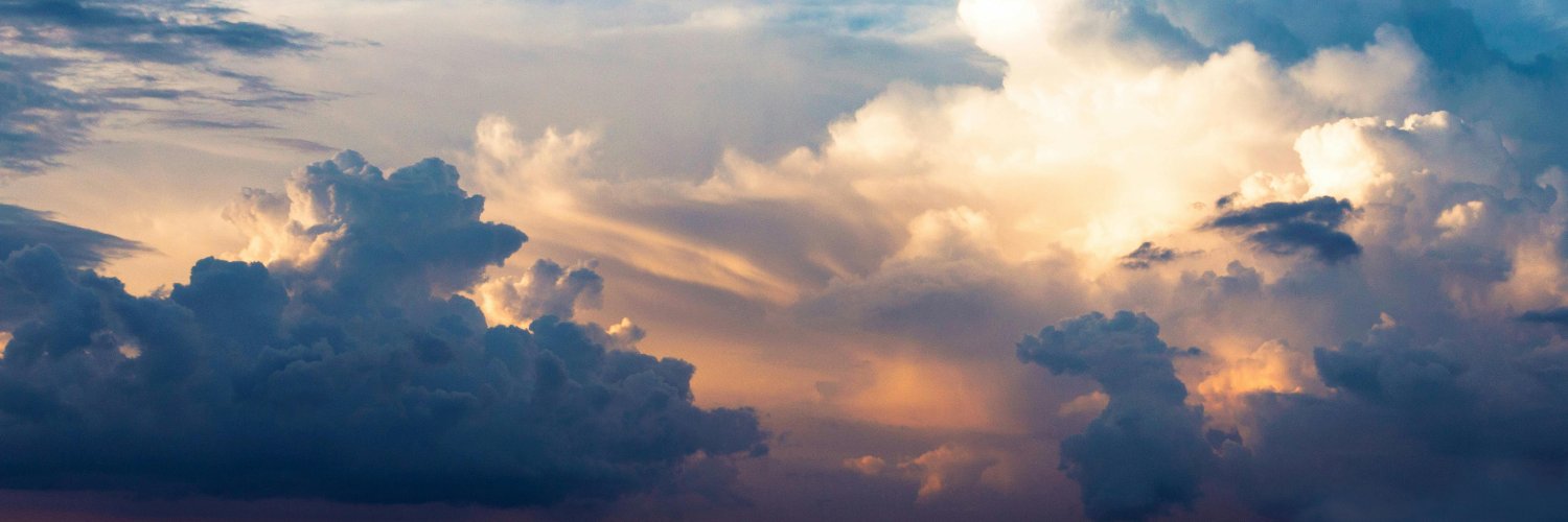 Internet Bill of Rights banner