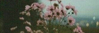 HkaiH_'s profile banner image