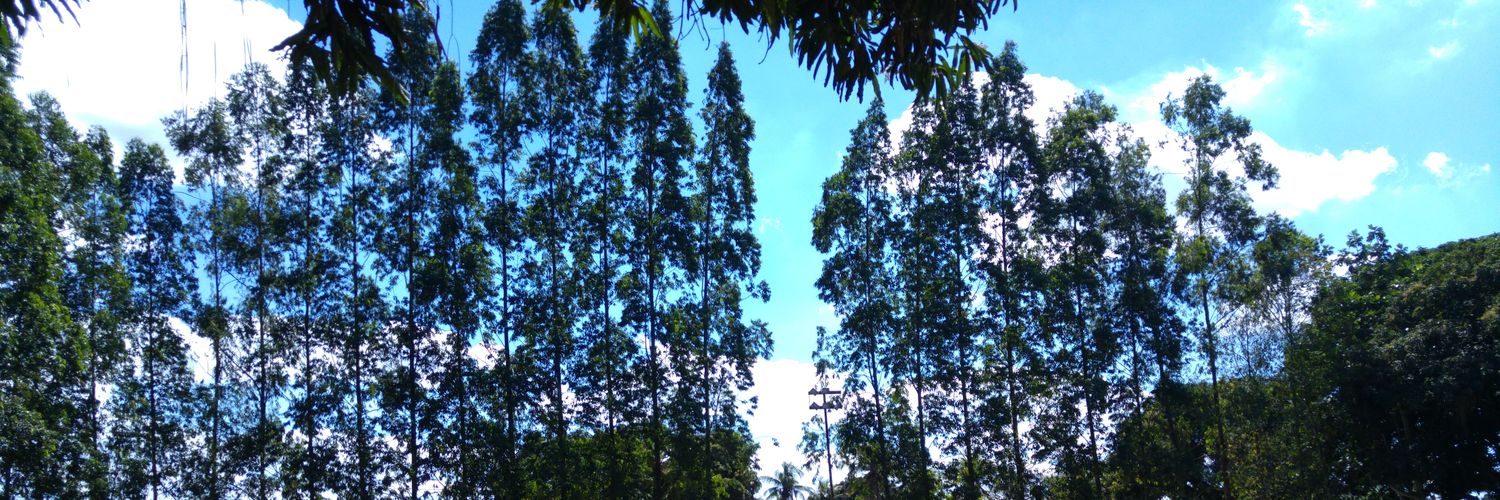 karol_crs's profile banner image
