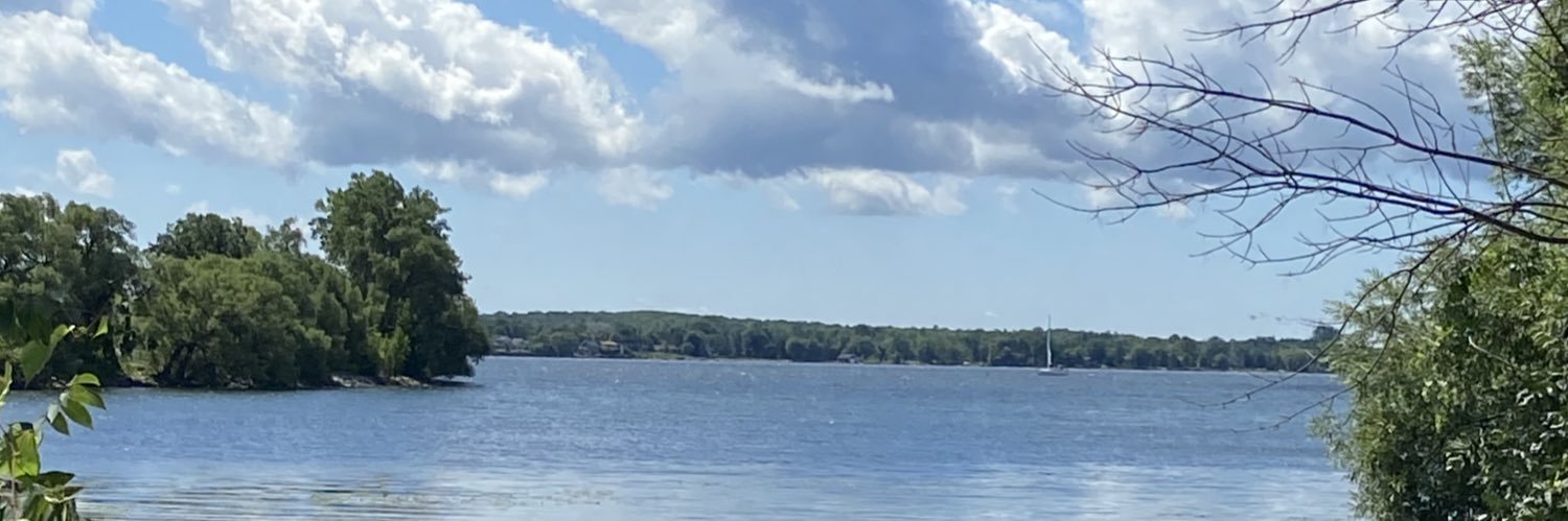 Cristina Pinto banner