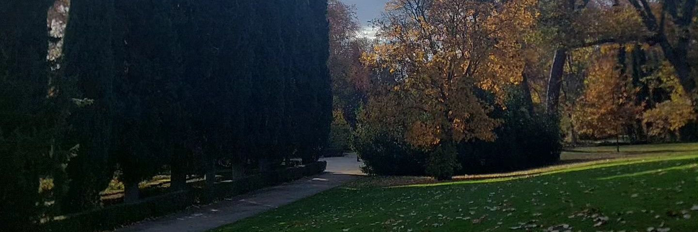 Manuel Vicente Román banner