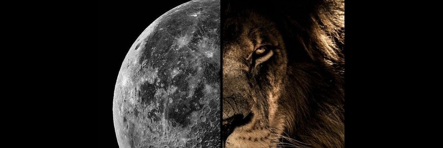 Avi 🌙 banner