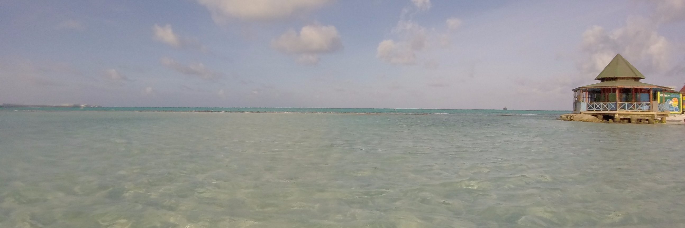 Caro__Miranda's profile banner image