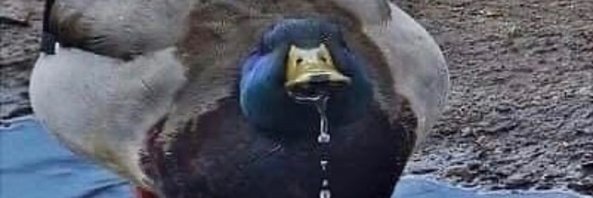 SmoothJazzMann's profile banner image