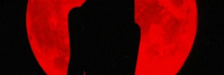 LyrCrimsie's profile banner image