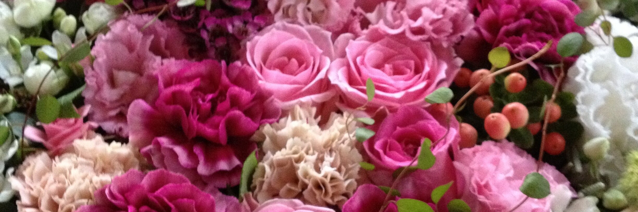 よつば ꕤ*.ﾟ banner