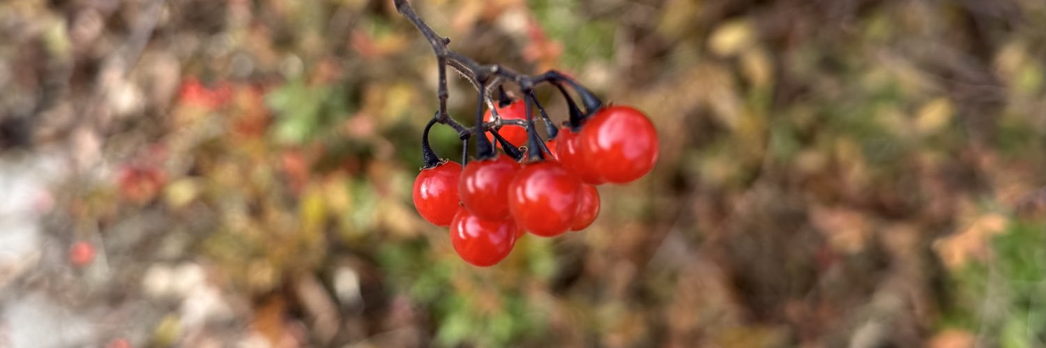 품격은 인간에 대한 깊은 존중에서 배어나는 것. banner