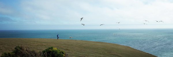 JamieLuDesign Profile Banner