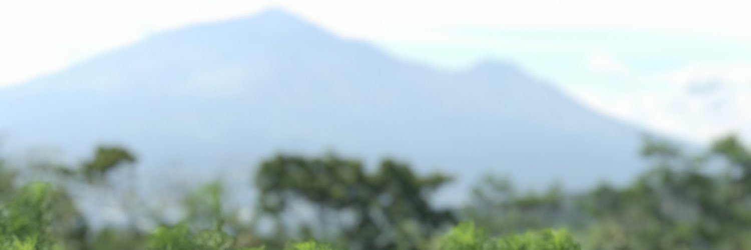 fyan_da's profile banner image