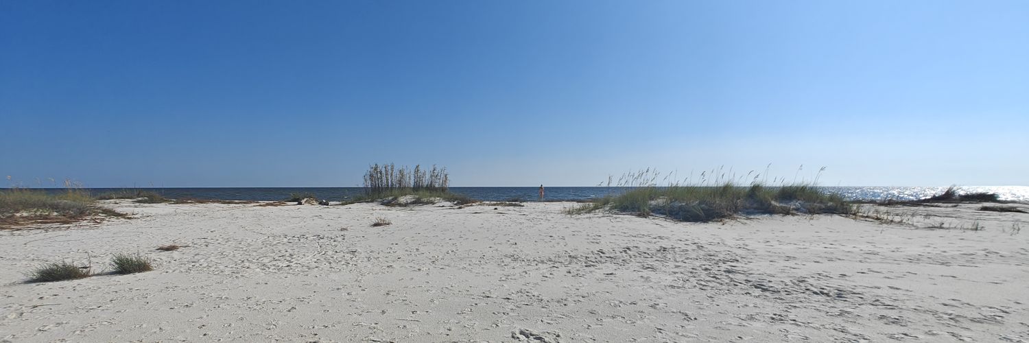 Solomon Wheeler banner