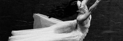 Paz B banner