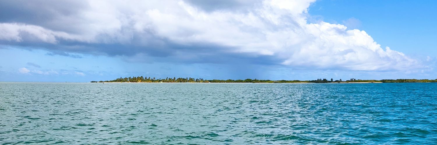 Nanazzv's profile banner image