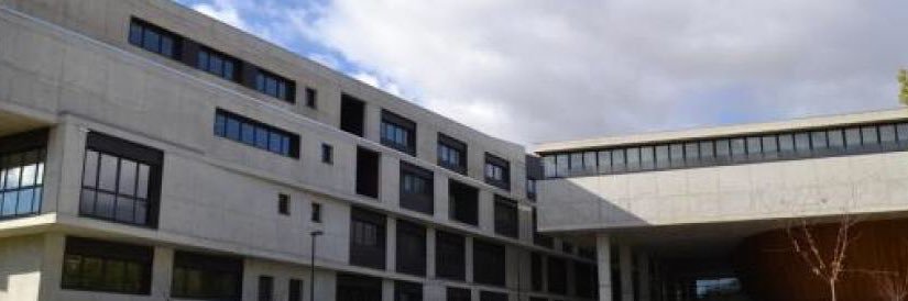 Violeta Delgado banner