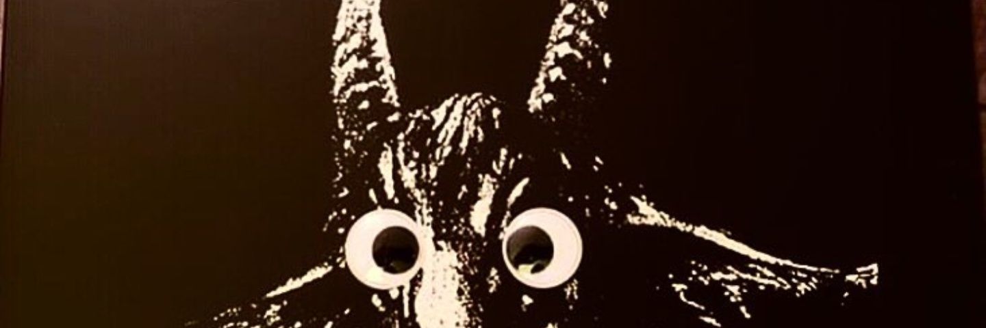 DG banner