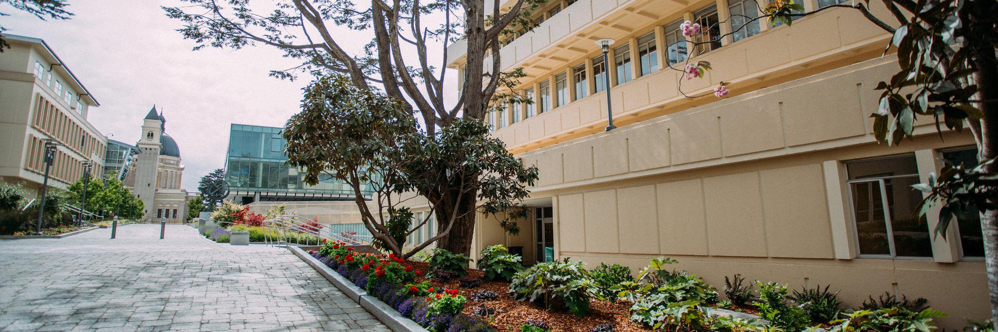 hps@usfca.edu banner