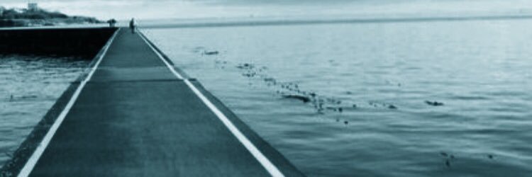 SScigliano's profile banner image