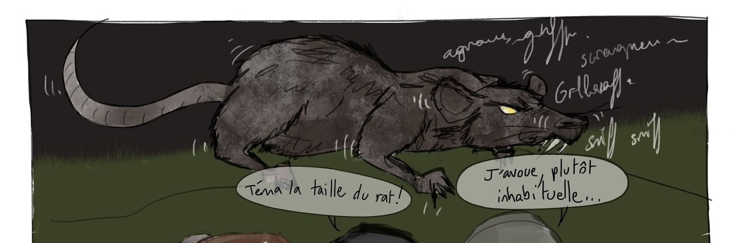 •Mælibé• Libellule 🦟 banner