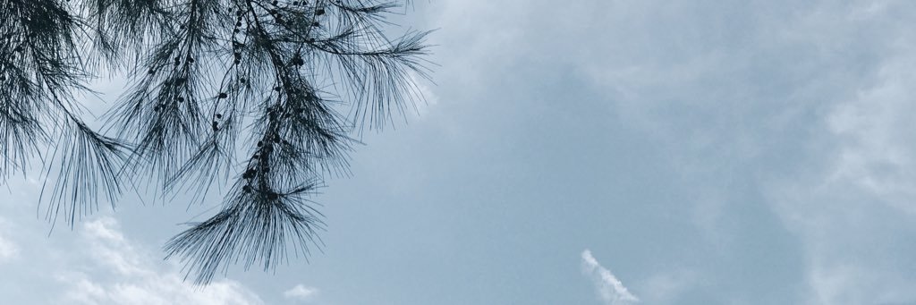 🌚 banner