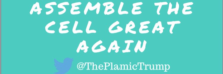 ThePlasmicTrump's profile banner image