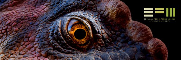 thefossilpark Profile Banner