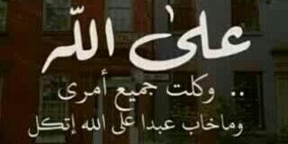 abodi_8949's profile banner image