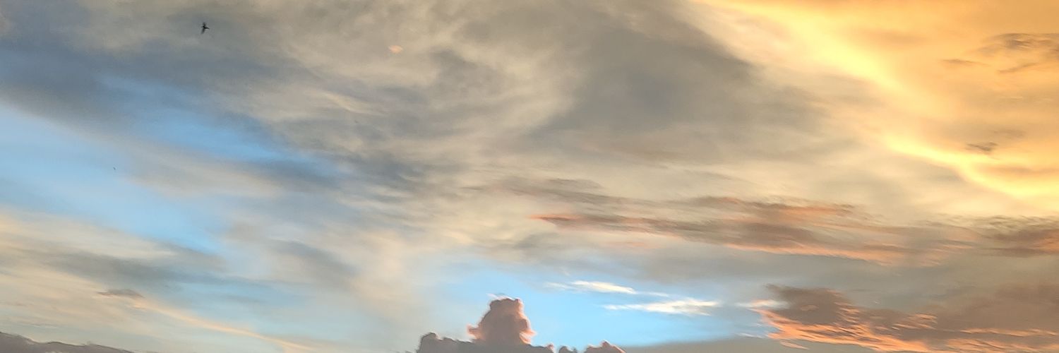 ipaaaaaaannnn's profile banner image