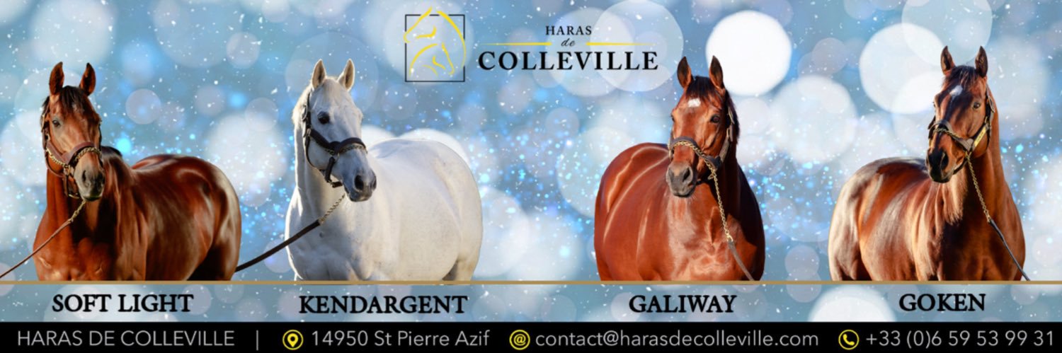 Haras de Colleville banner