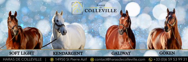 HarasColleville Profile Banner