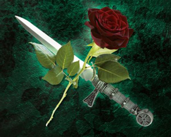 otongrock's profile banner image