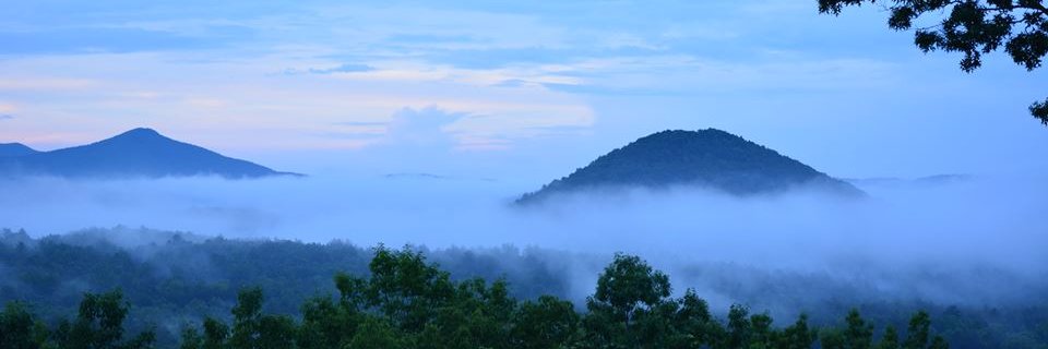Johnny Isakson banner