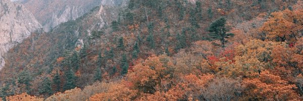 aryctweet Profile Banner