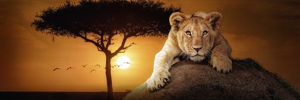 KelbyOne Profile Banner