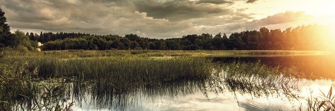 andylynn91's profile banner image
