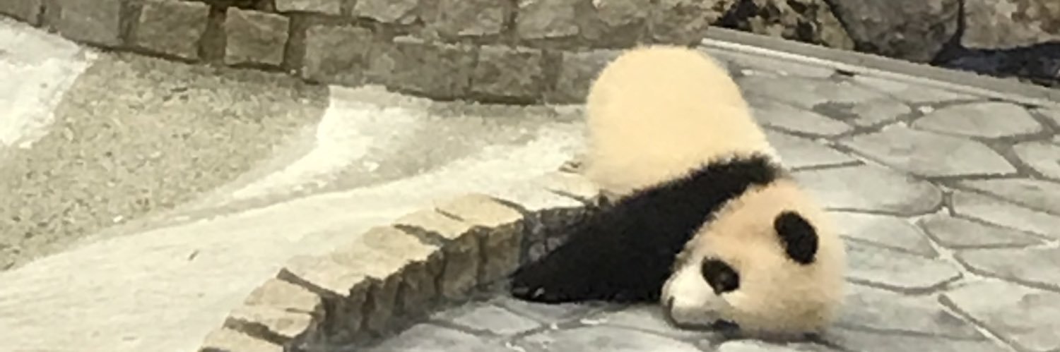 えりなちやん banner