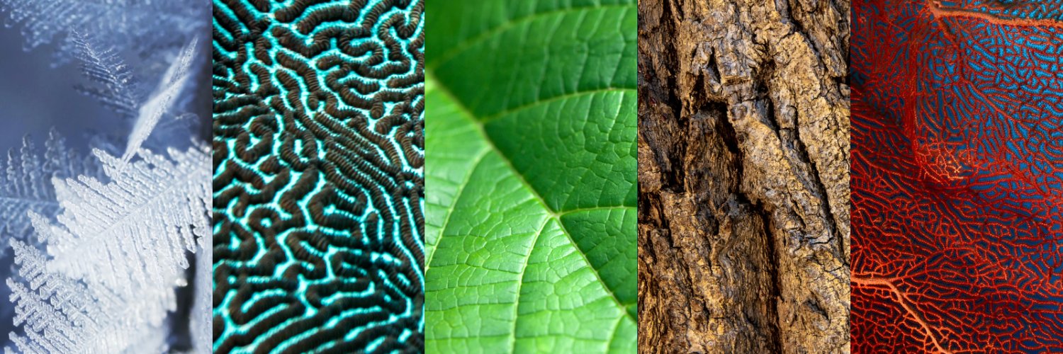 Map the System banner