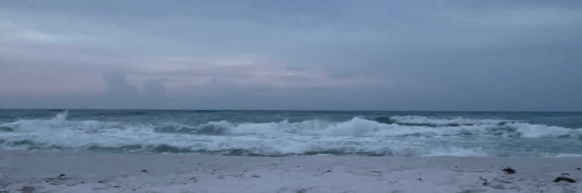 lisette_elida's profile banner image