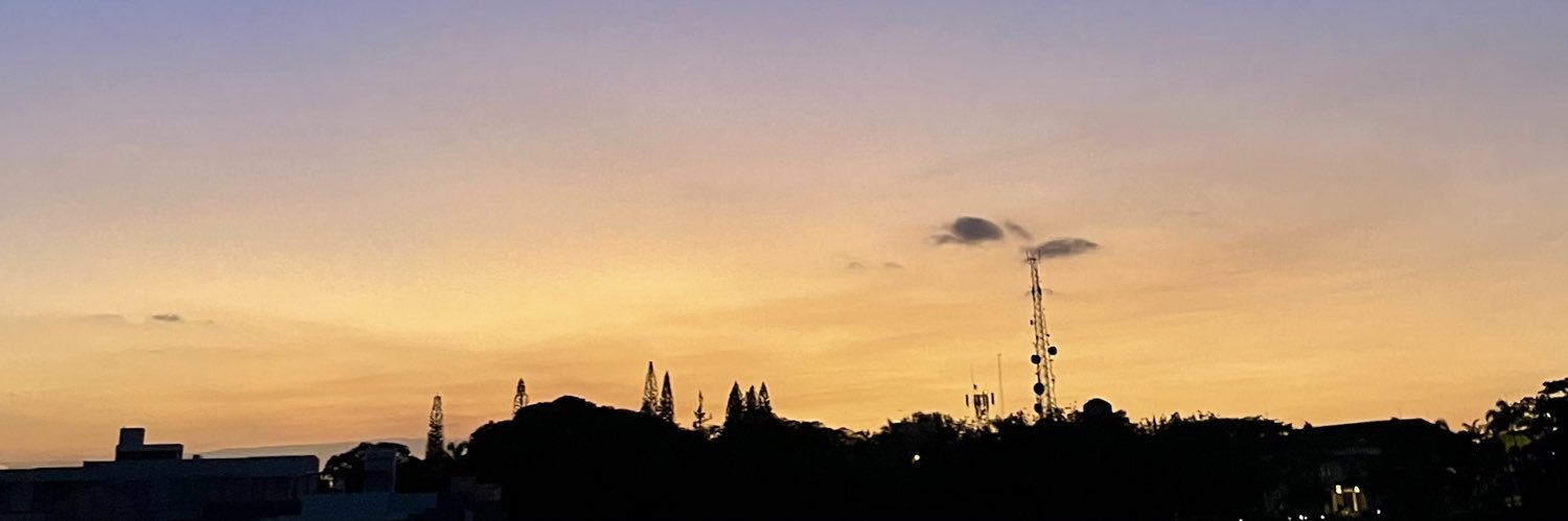 GinaRGuzman's profile banner image