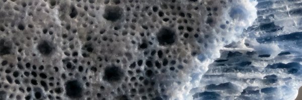 Tessoulin_B Profile Banner