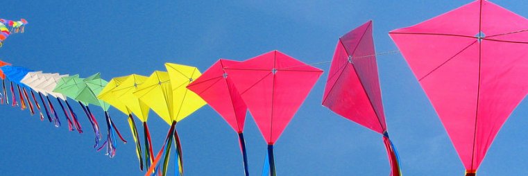Mary Holt banner