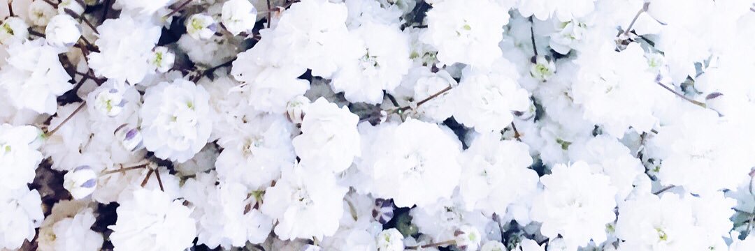 Mrs Gregory-Jenkins banner