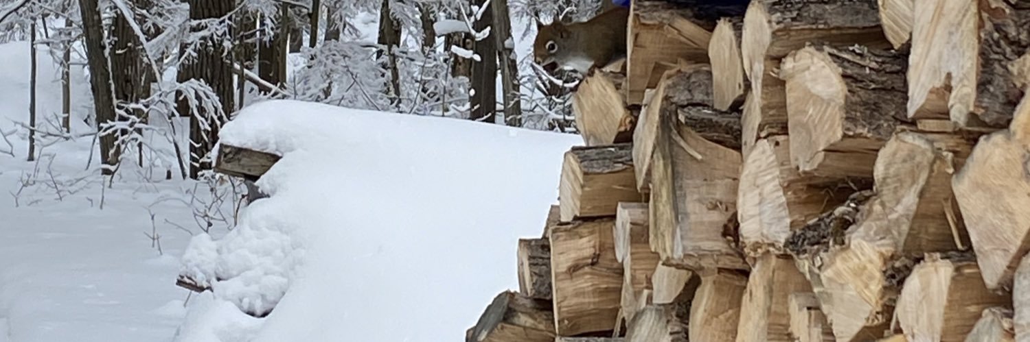 Asilnicki's profile banner image