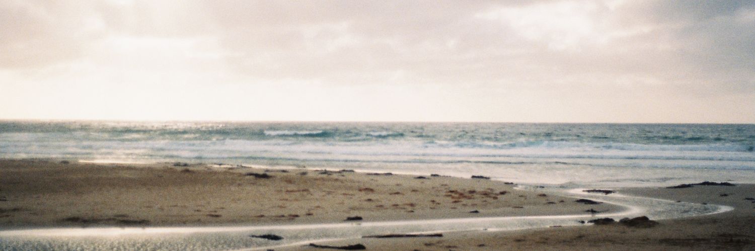 SocialAlien1's profile banner image