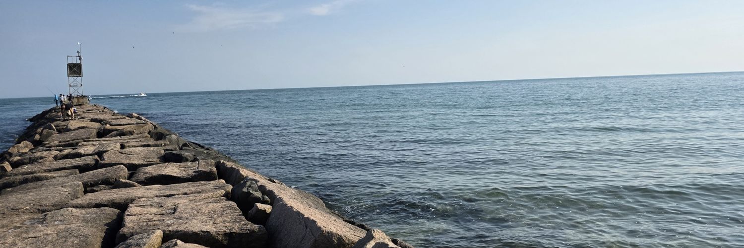 bachafin's profile banner image