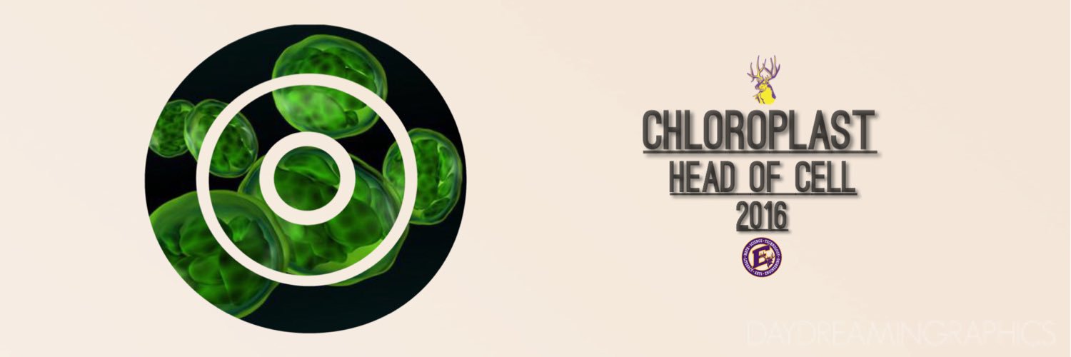 2k16Chloroplast's profile banner image