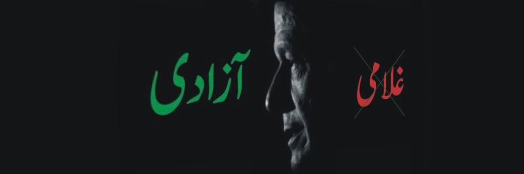 🇵🇰Ԁ⊥ı dɹoɟǝssoɹ ∀sim🏏 banner