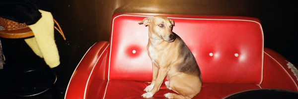 expiredloop Profile Banner