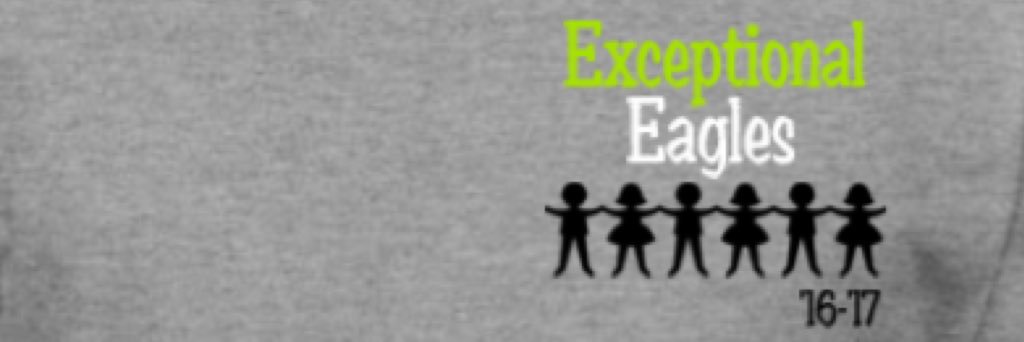 Exceptional Eagles banner