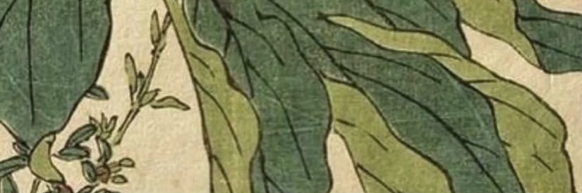 nylee_74's profile banner image