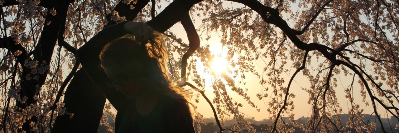 greenbetween's profile banner image
